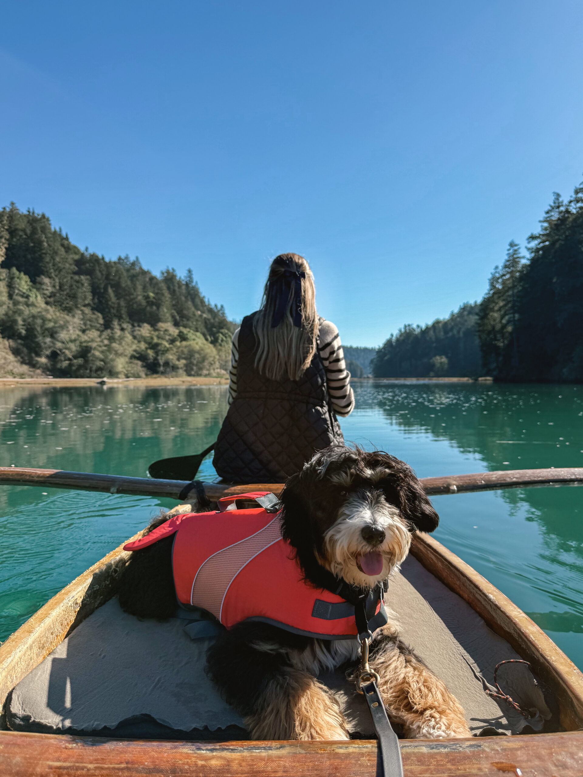 The Complete Dog-Friendly Guide to Mendocino County: Stays, Food and Adventures